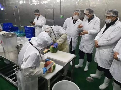 中卫硒砂瓜产业考察团参访四季青宁夏保鲜技术研究院上海创新样板工厂
