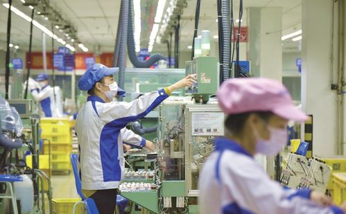 江西省赣州市科技创新服务中心领导一行莅临亿融创服交流访问，深化信息技术咨询服务合作